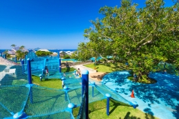 ちびっことりで