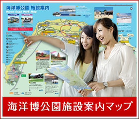 海洋博公園施設案内マップ