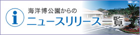 ニュースリリース一覧