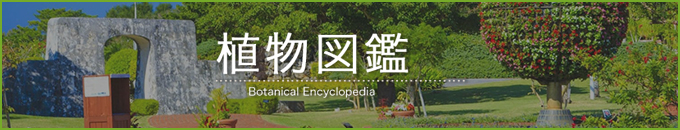 植物図鑑