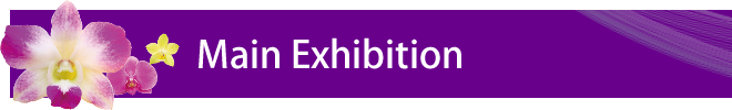 Main Exhibition