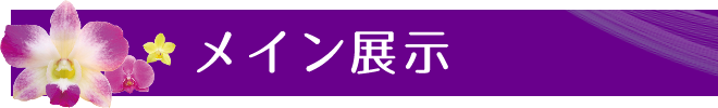 メイン展示