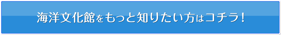 海洋文化館をもっと知りたい方はコチラ！