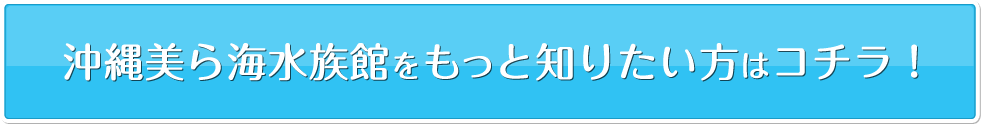 沖縄美ら海水族館をもっと知りたい方はコチラ！