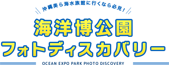 海洋博フォトディスカバリー OCEAN EXPO PARK PHOTO DISCOVERY