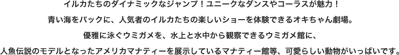 イルカたちのダイナミックなジャンプ！ユニークなダンスやコーラスが魅力！青い海をバックに、人気者のイルカたちの楽しいショーを体験できるオキちゃん劇場。優雅に泳ぐウミガメを、水上と水中から観察できるウミガメ館に、人魚伝説のモデルとなったアメリカマナティーを展示しているマナティー館等、可愛らしい動物がいっぱいです。