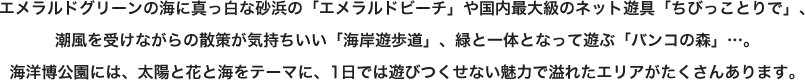 エメラルドグリーンの海に真っ白な砂浜の「エメラルドビーチ」や国内最大級のネット遊具「ちびっことりで」、潮風を受けながらの散策が気持ちいい「海岸遊歩道」、緑と一体となって遊ぶ「バンコの森」…。海洋博公園には、太陽と花と海をテーマに、1日では遊びつくせない魅力で溢れたエリアがたくさんあります。