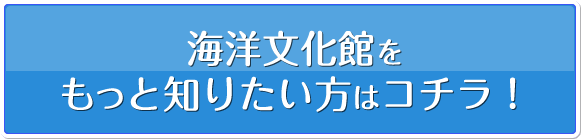 海洋文化館をもっと知りたい方はコチラ！