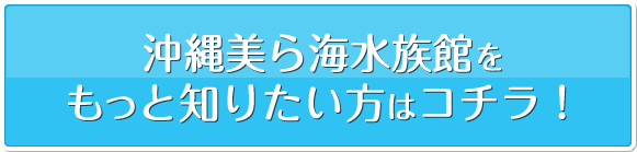 沖縄美ら海水族館をもっと知りたい方はコチラ！
