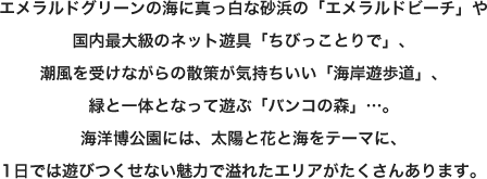 エメラルドグリーンの海に真っ白な砂浜の「エメラルドビーチ」や国内最大級のネット遊具「ちびっことりで」、潮風を受けながらの散策が気持ちいい「海岸遊歩道」、緑と一体となって遊ぶ「バンコの森」…。海洋博公園には、太陽と花と海をテーマに、1日では遊びつくせない魅力で溢れたエリアがたくさんあります。