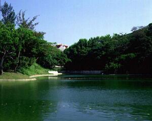 首里城全景｜世持橋付近から首里城を望むのメイン画像