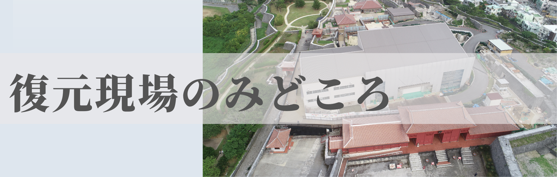 復元現場のみどころ