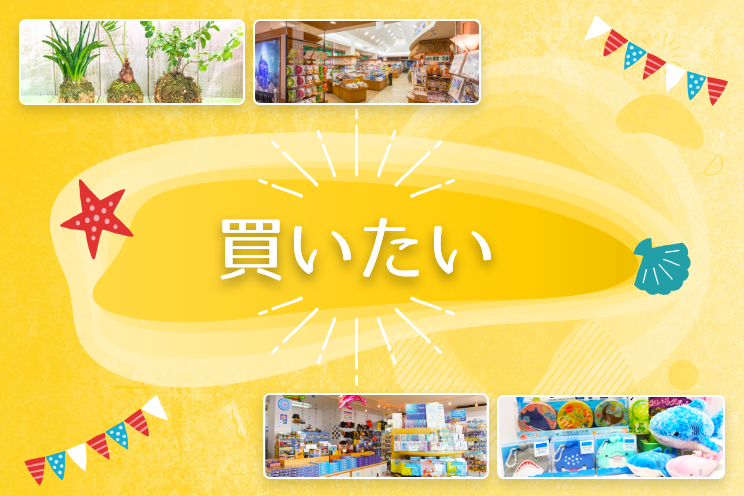 買いたい