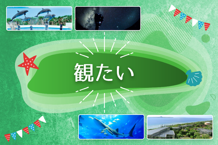 観たい