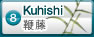 须叶藤