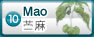贴毛苎麻