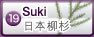 杉木