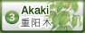 茄苳
