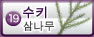 스키(스기)