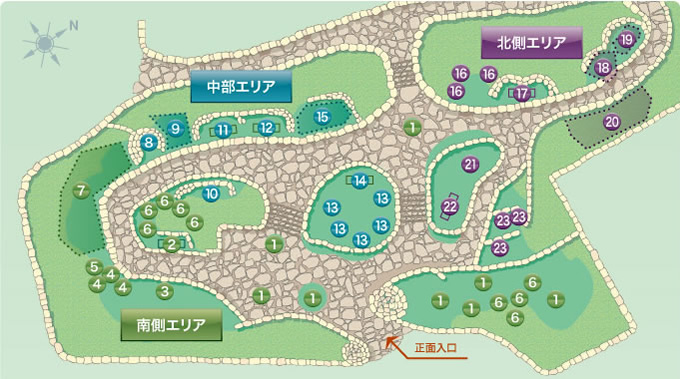 植物園探検のイラストマップ