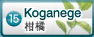 扁實檸檬