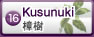 樟樹