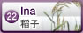 水稻