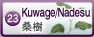 小葉桑