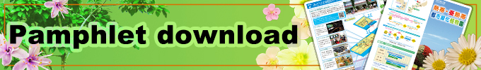 Pamphlet download