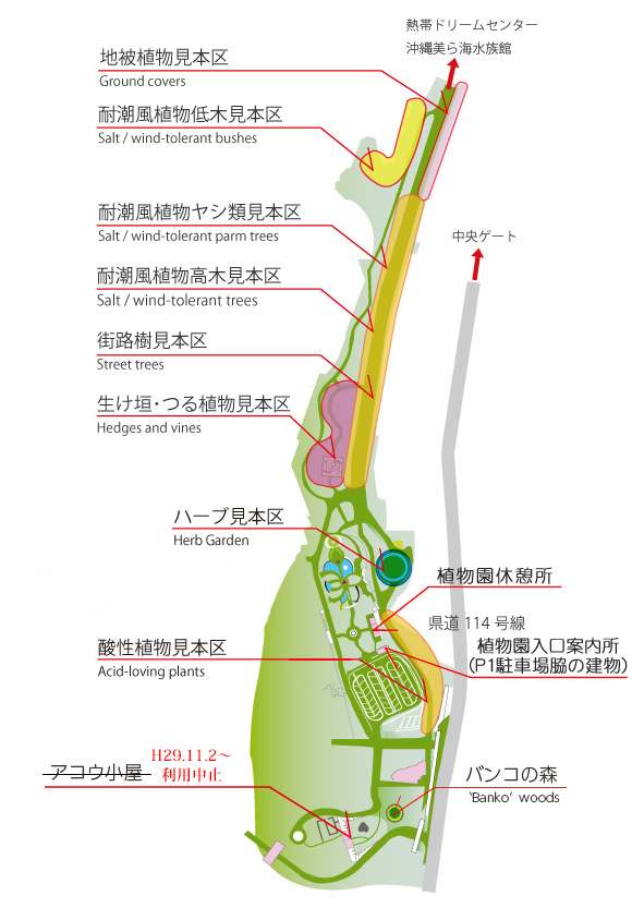 熱帯・亜熱帯都市緑化植物園