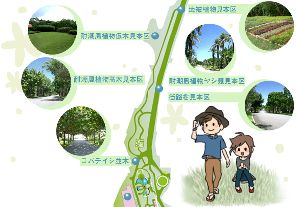 地被植物見本区折り返しコースマップ