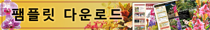 팸플릿 다운로드