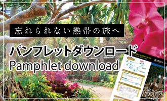 熱帯ドリームセンターパンフレットダウンロード