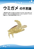 ウミガメの不思議