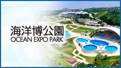 海洋博公園バナー