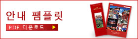안내 팸플릿