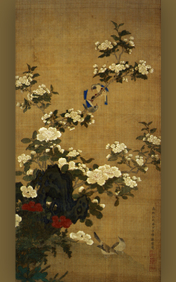 花鳥図(康熙丙戌春日) 花鳥図(康熙丙戌春日)
