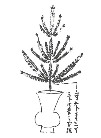 画像 画像