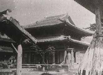 画像 画像