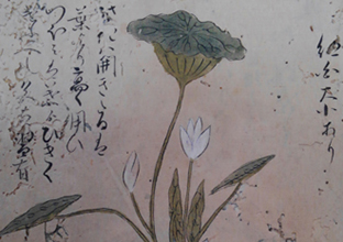 御城物語